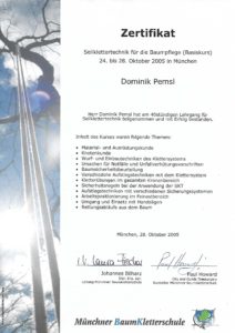 Zertifikat Baumpflege - Seilklettertechnik für die Baumpflege