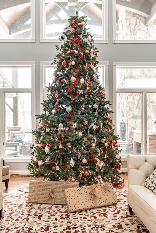Read more about the article Welcher Baum eignet sich am besten als Weihnachtsbaum? Ein Leitfaden für die perfekte Wahl