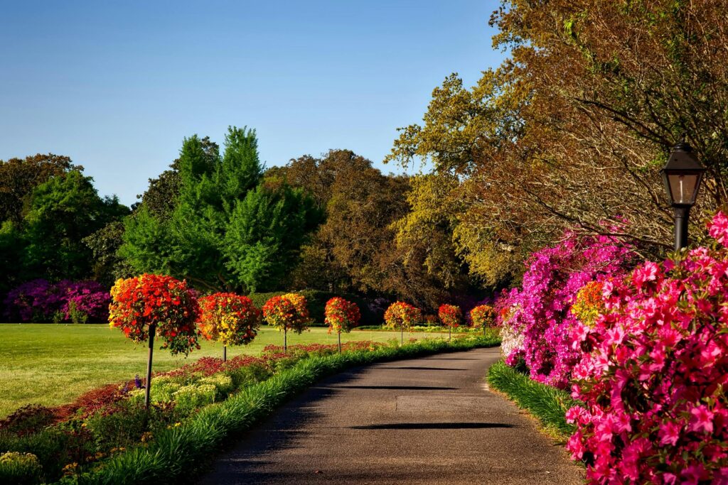 schöne bäume garten mit geteertem weg