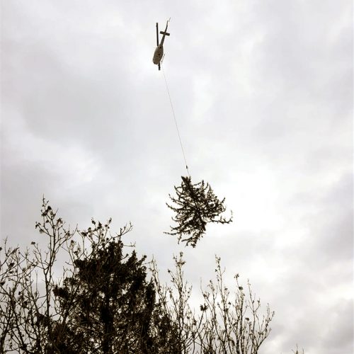 Helikopterfällung - Baumfällung mit Helikopter, Baumpflege Pemsl